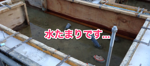 pond-1