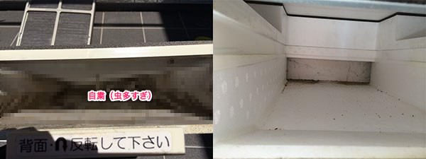 lossguard_change-3.jpg Lossguard change 3