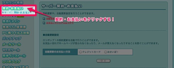 wp_lolipop_pay-2.jpg Wp lolipop pay 2